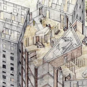 Cherry Tree Cooperative