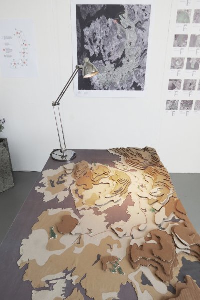 David Harris - Bergen Bergen Eco Settlement