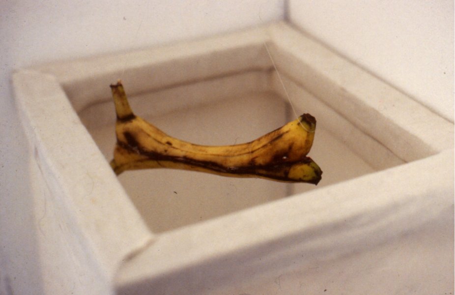canvas, nylon, wood, plaster, bananas