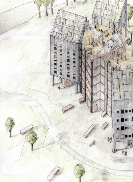 Cherry Tree Cooperative