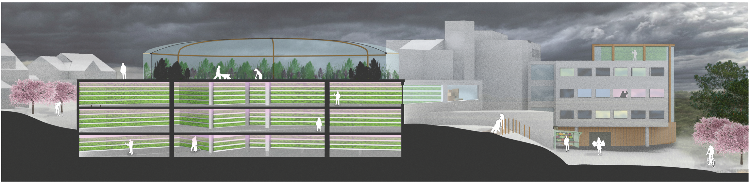 David Harris - Bergen Bergen Eco Settlement