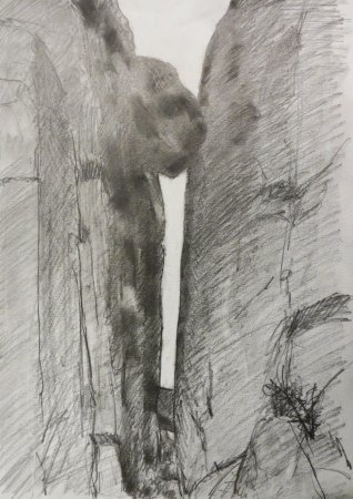 pencil on paper