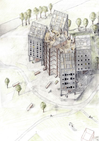 Cherry Tree Cooperative